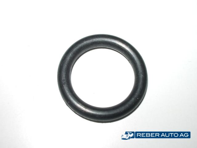 O-Ring Wasserrohr - Pumpe 90-05